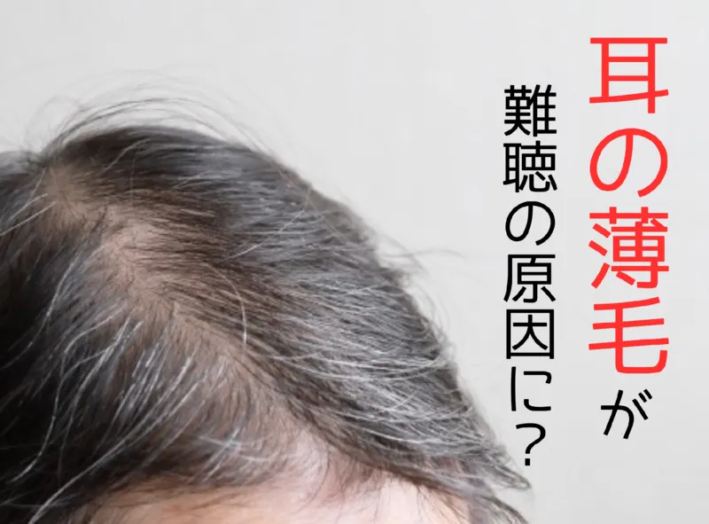 耳の薄毛が難聴の原因に！