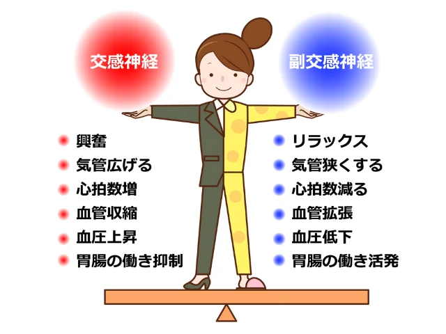 起立性調節障害の自律神経