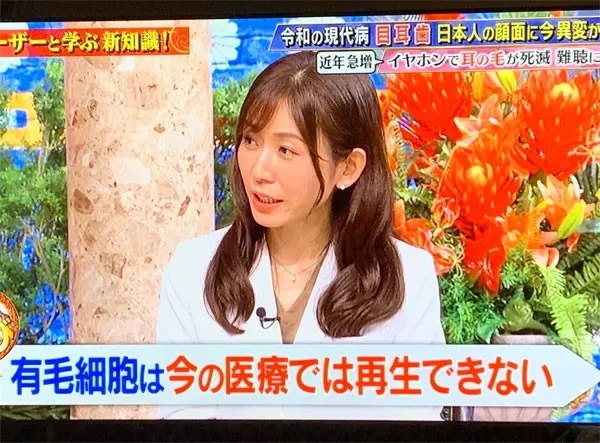 有毛細胞と難聴治療