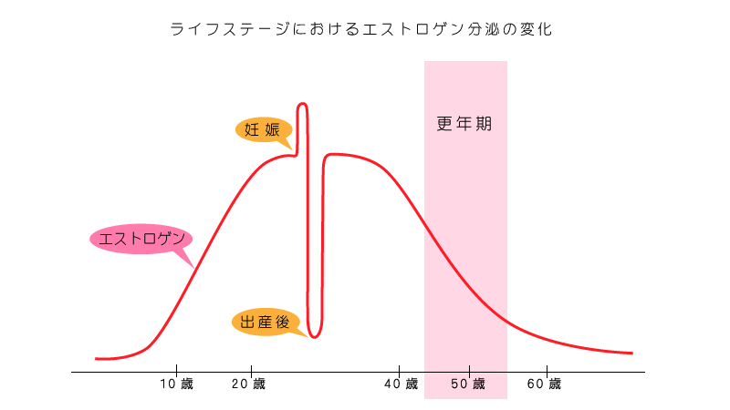 エストロゲンの変化
